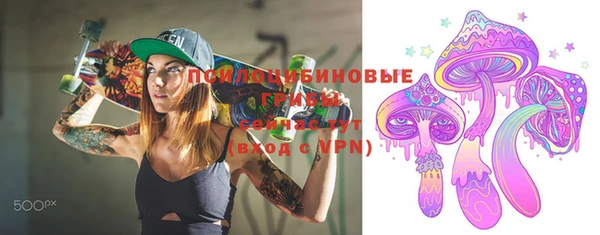 PSILOCYBIN Вяземский
