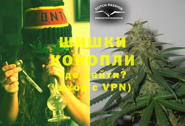 PSILOCYBIN Вяземский