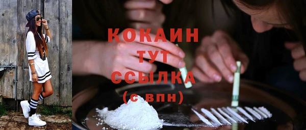 PSILOCYBIN Вяземский