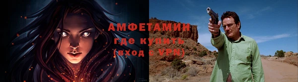 крисы Вязьма