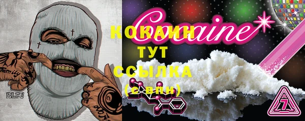 крисы Вязьма