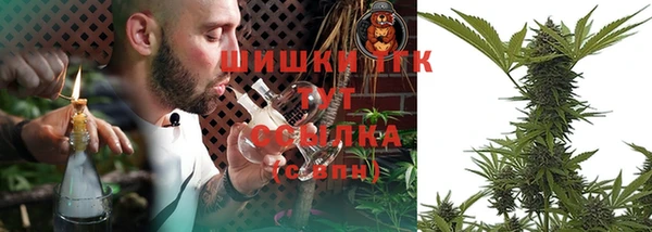 PSILOCYBIN Вяземский