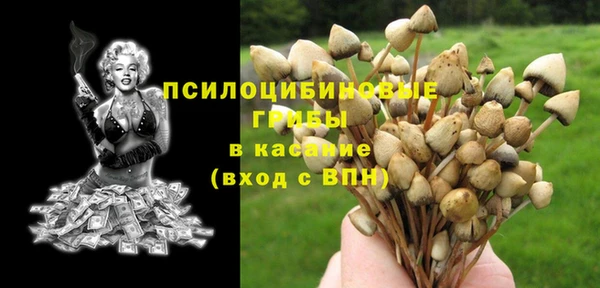 PSILOCYBIN Вяземский