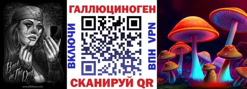 Купить закладки  Обоянь  Псилоцибиновые грибы прущие грибы 