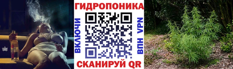 Купить закладки  Обоянь  Бошки марихуана планчик 